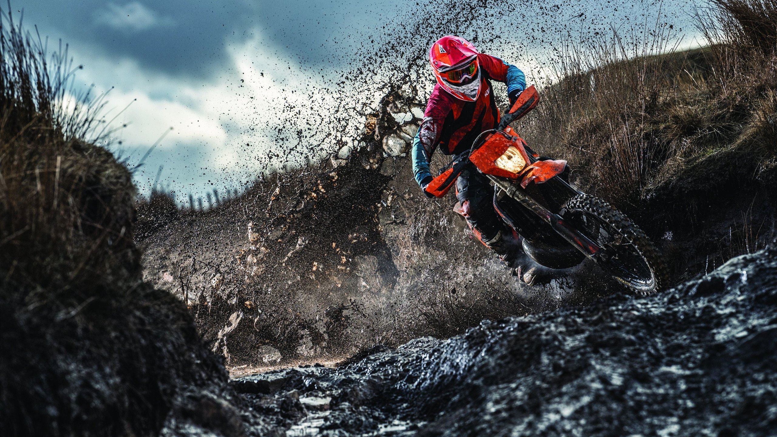 宿敌之战，一剑封喉，欧文关键球终结绿军，湖人狂胜显冠军底蕴