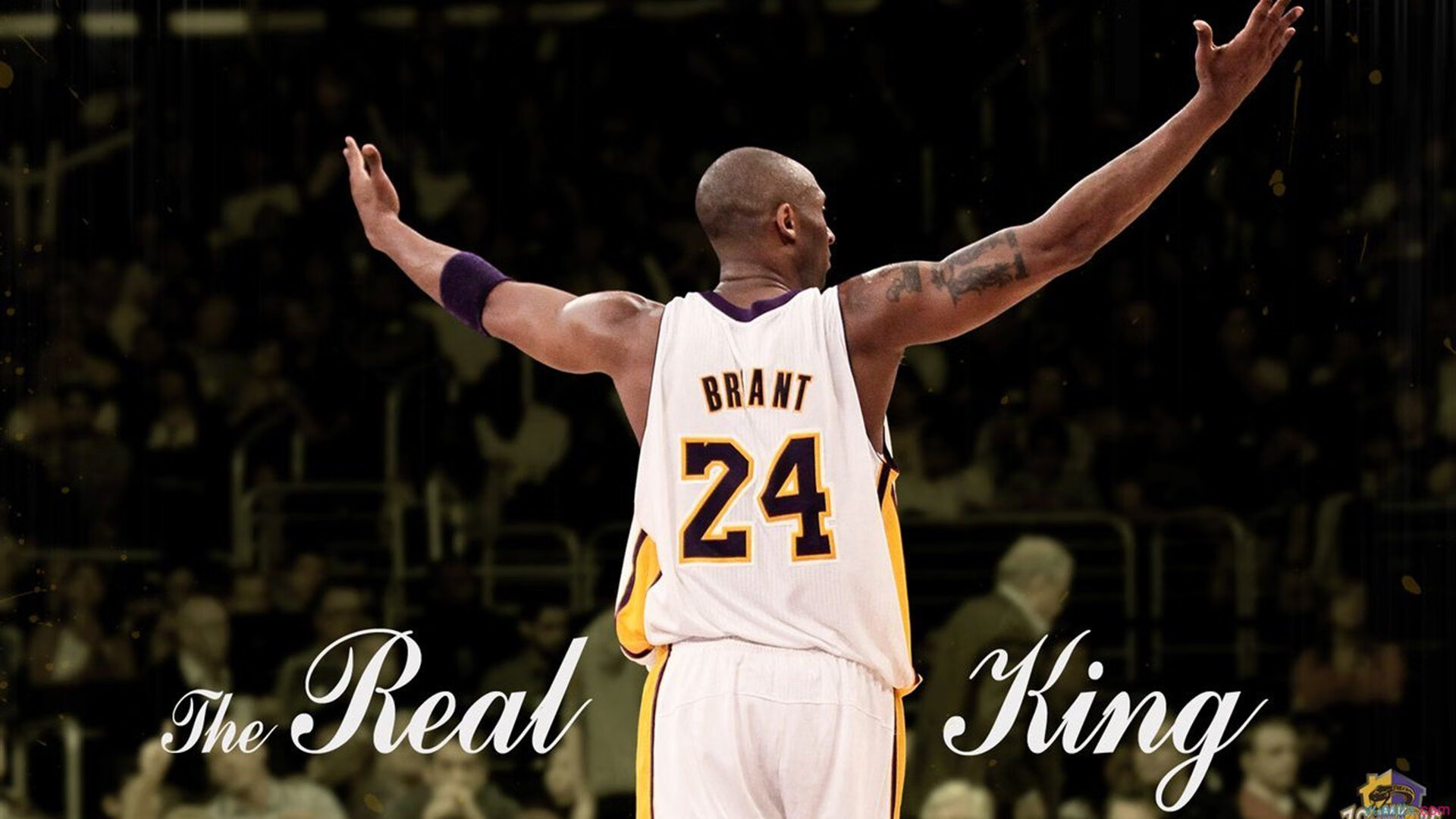 开云官网-奥运周期关键战之夜，阿拉巴关键回合不手软